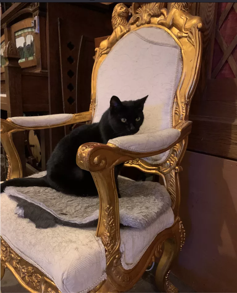 Screen Shot 2024-07-23 at 8.55.48 PM.png