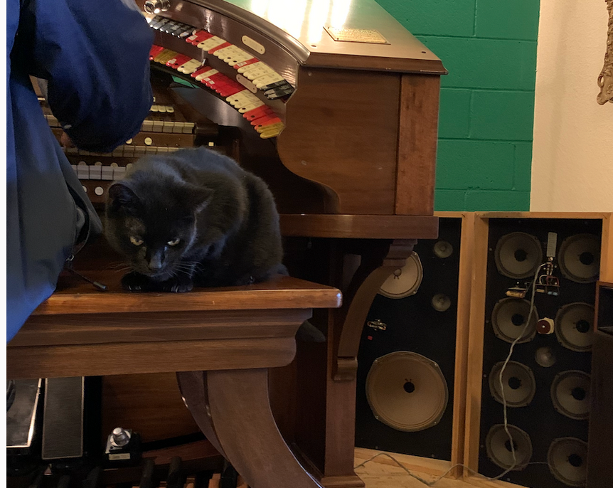 Screen Shot 2024-07-23 at 8.54.53 PM.png