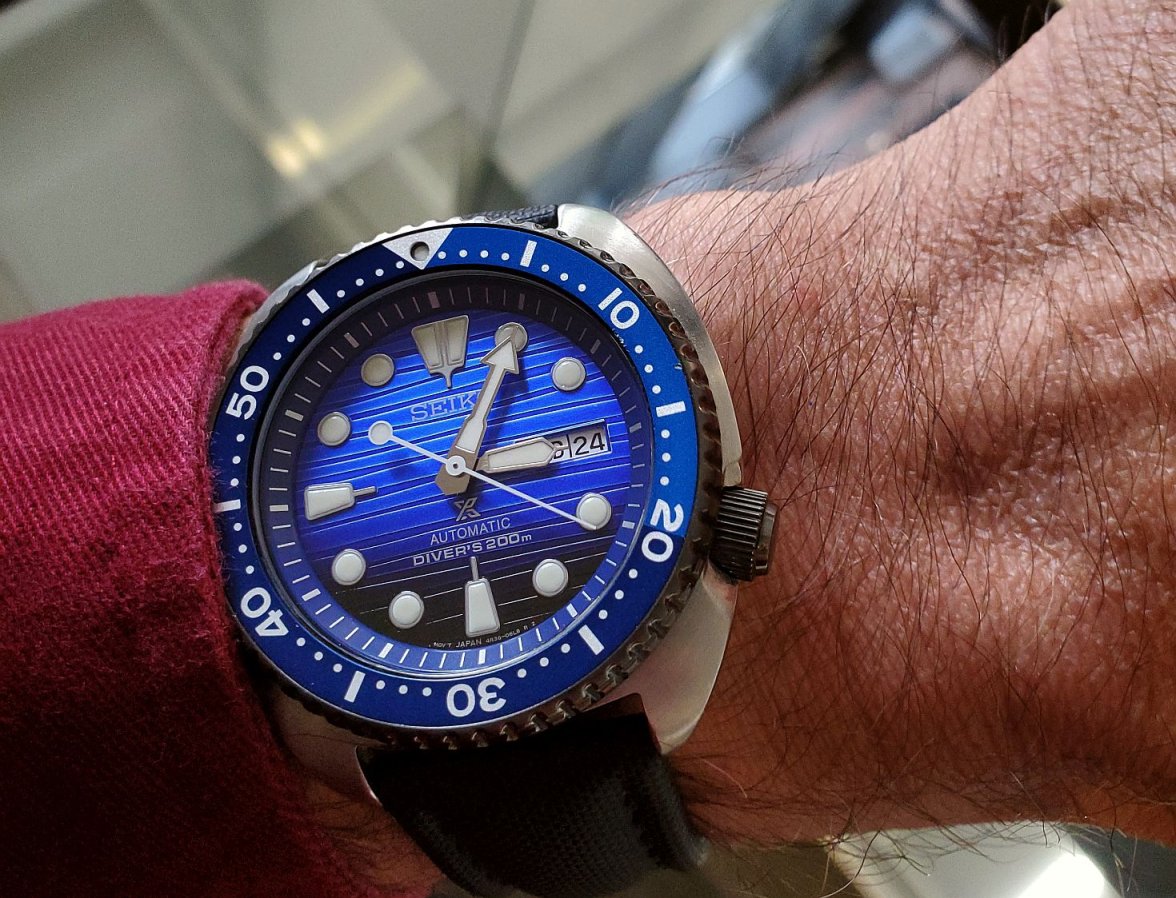 STOT ws 1 20240724_150536(0).jpg