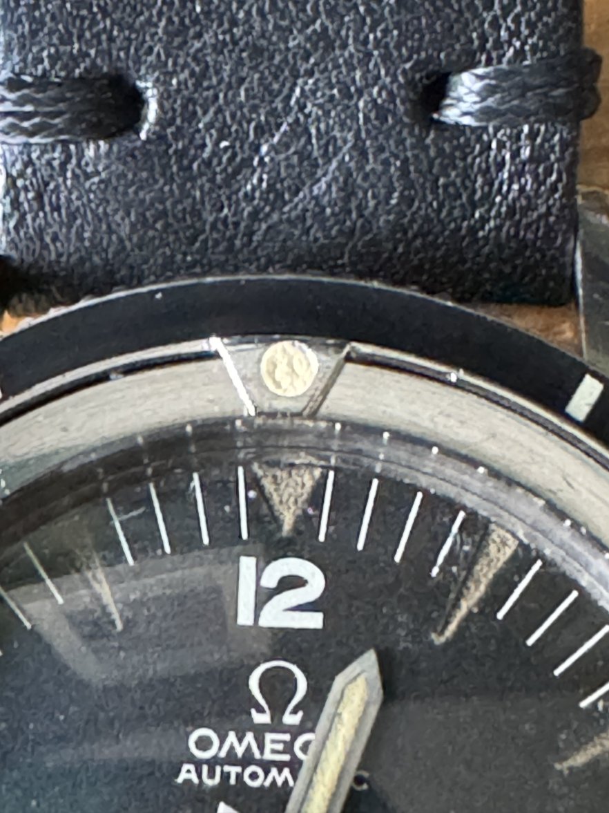 IMG_3879.jpeg