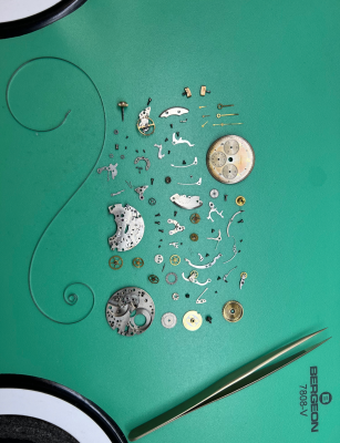 lemania servicing.png