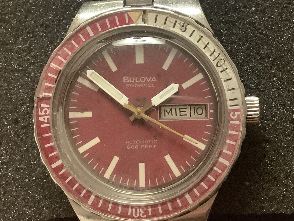 IMG_1872.jpeg IMG_1872.jpeg