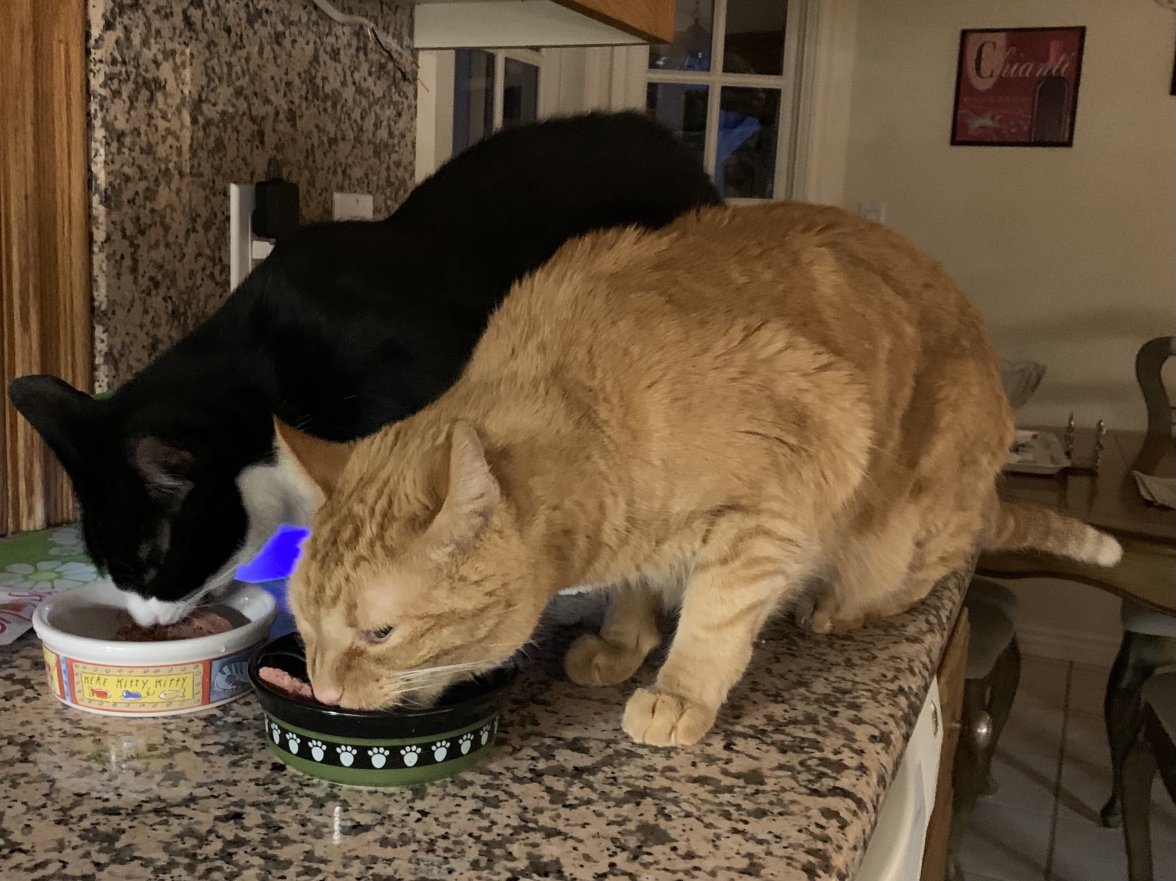 IMG_1860.jpg IMG_1860.jpg