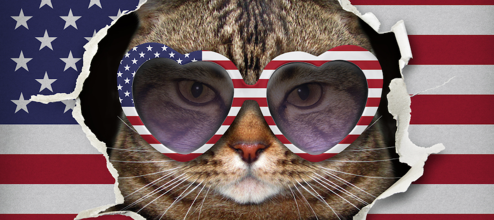 american-cat-breeds.png american-cat-breeds.png