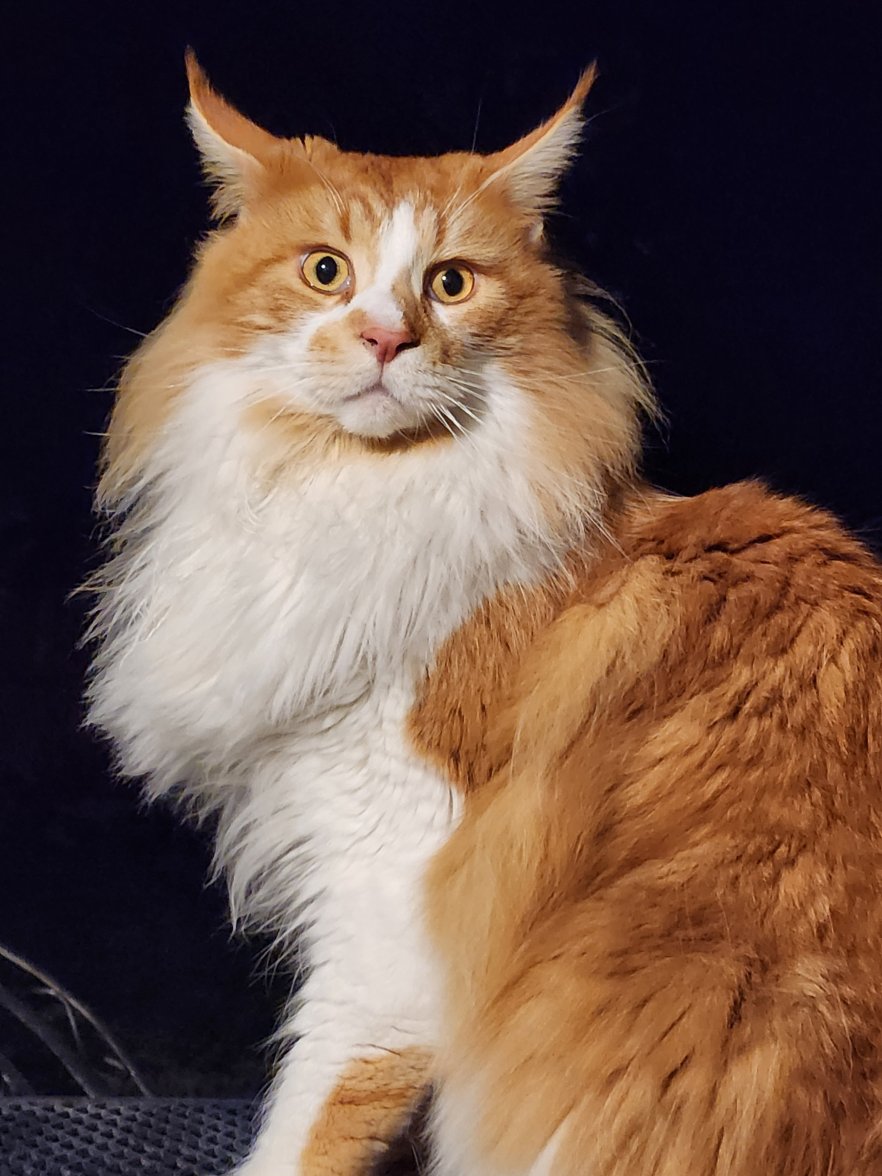 1000011069.jpg 1000011069.jpg