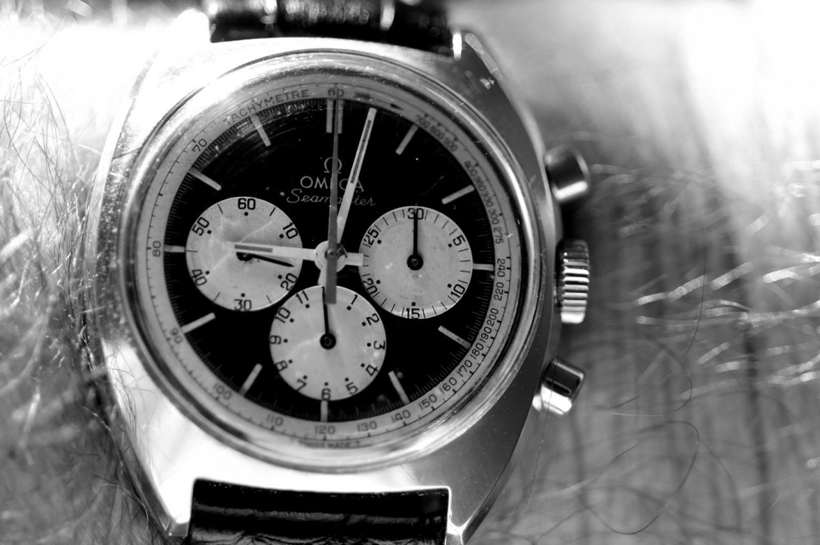 Panda_121915 806.jpg