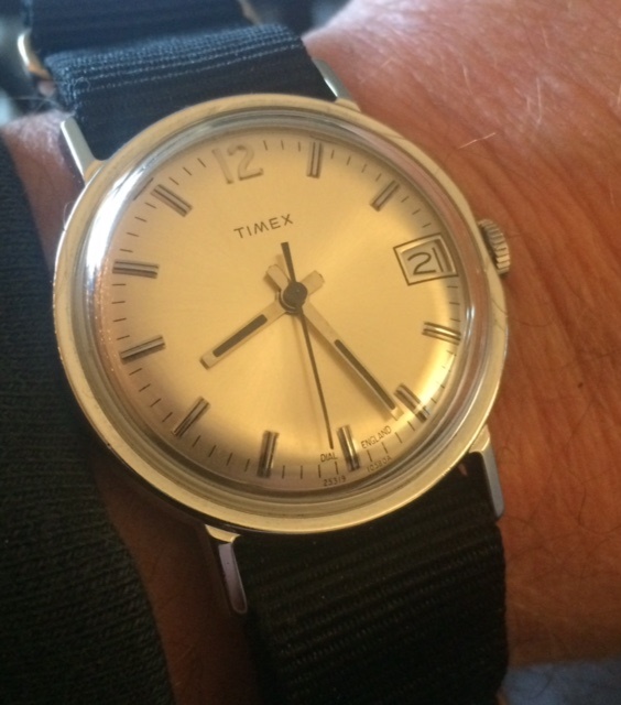 timex 12.20b.jpg