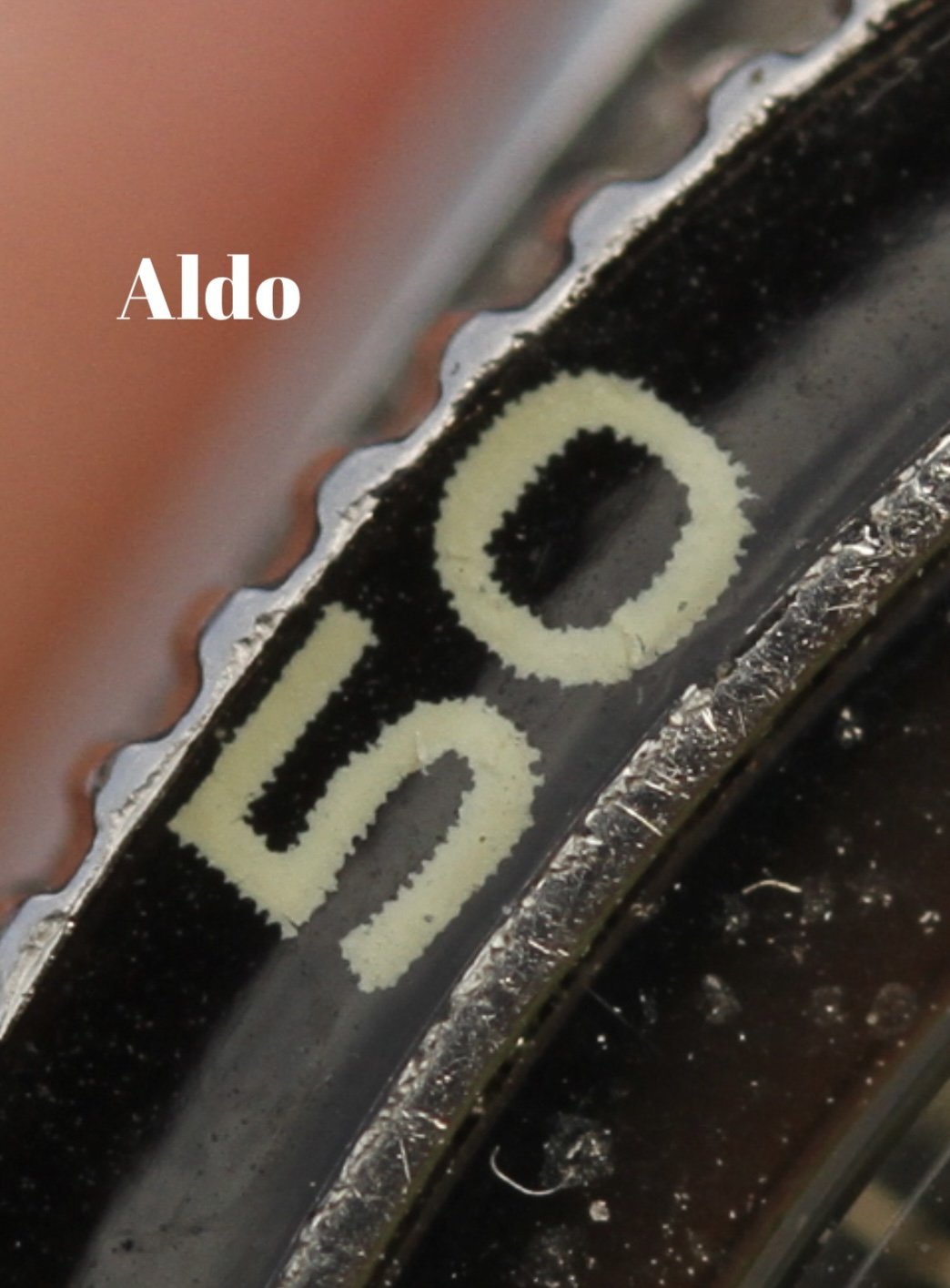 Aldo - detail.jpg