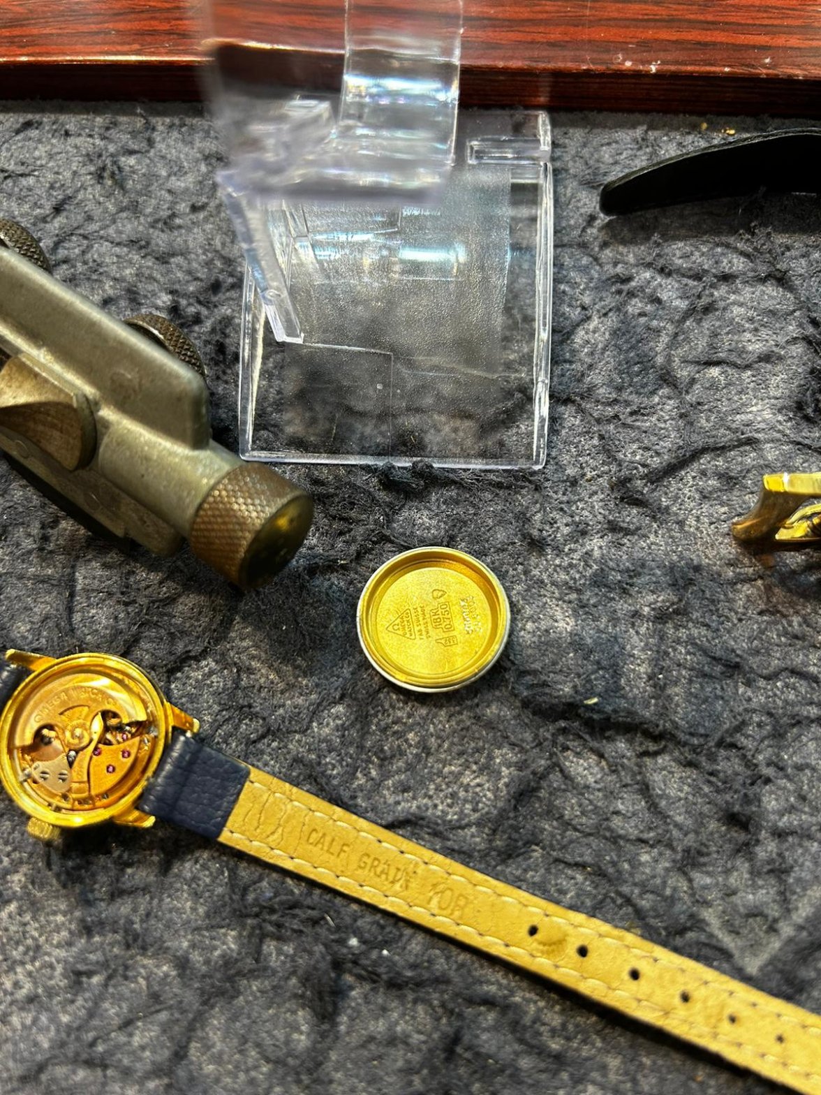 WhatsApp Image 2024-08-31 at 14.28.17_5507a89f.jpg