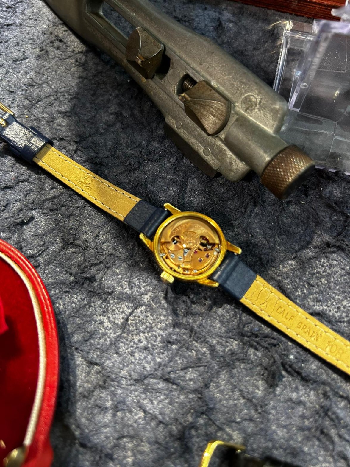 WhatsApp Image 2024-08-31 at 14.28.17_465d667d.jpg