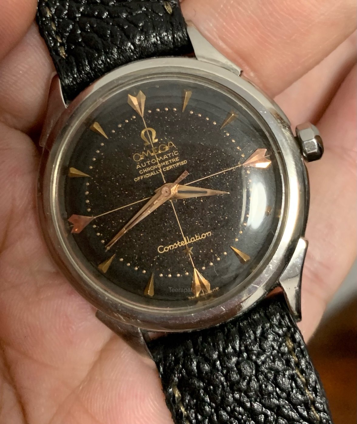 IMG_0713.jpeg IMG_0713.jpeg