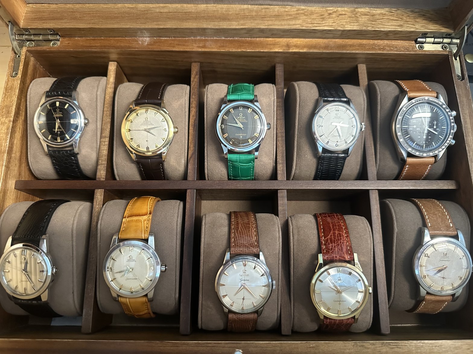 IMG_7747.jpeg IMG_7747.jpeg