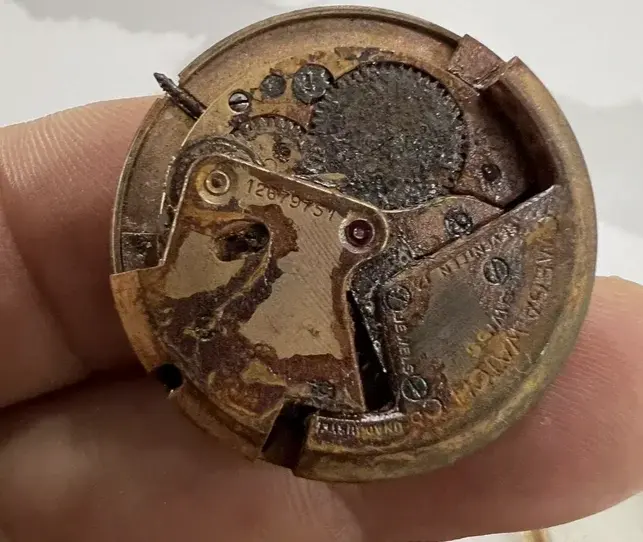 Screen Shot 2024-10-11 at 9.32.28 AM.webp