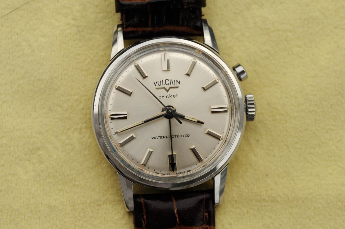 SS Cricket_123115 907.jpg