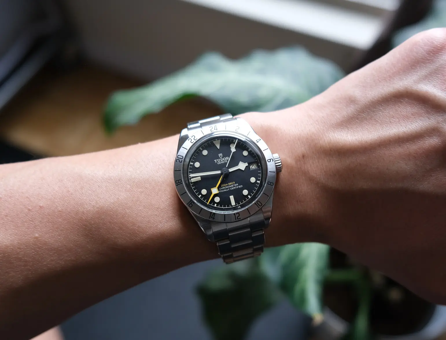 DSCF2867.webp DSCF2867.webp