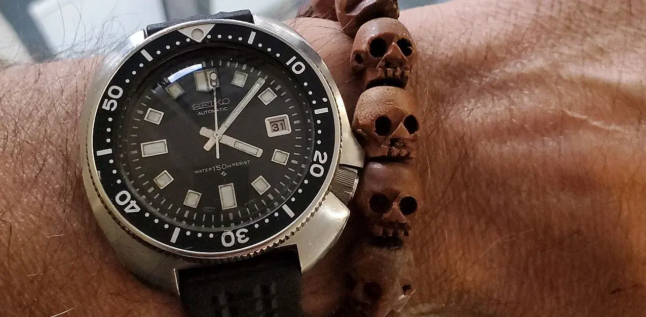 Willard ws 1b 20241031_160820.webp