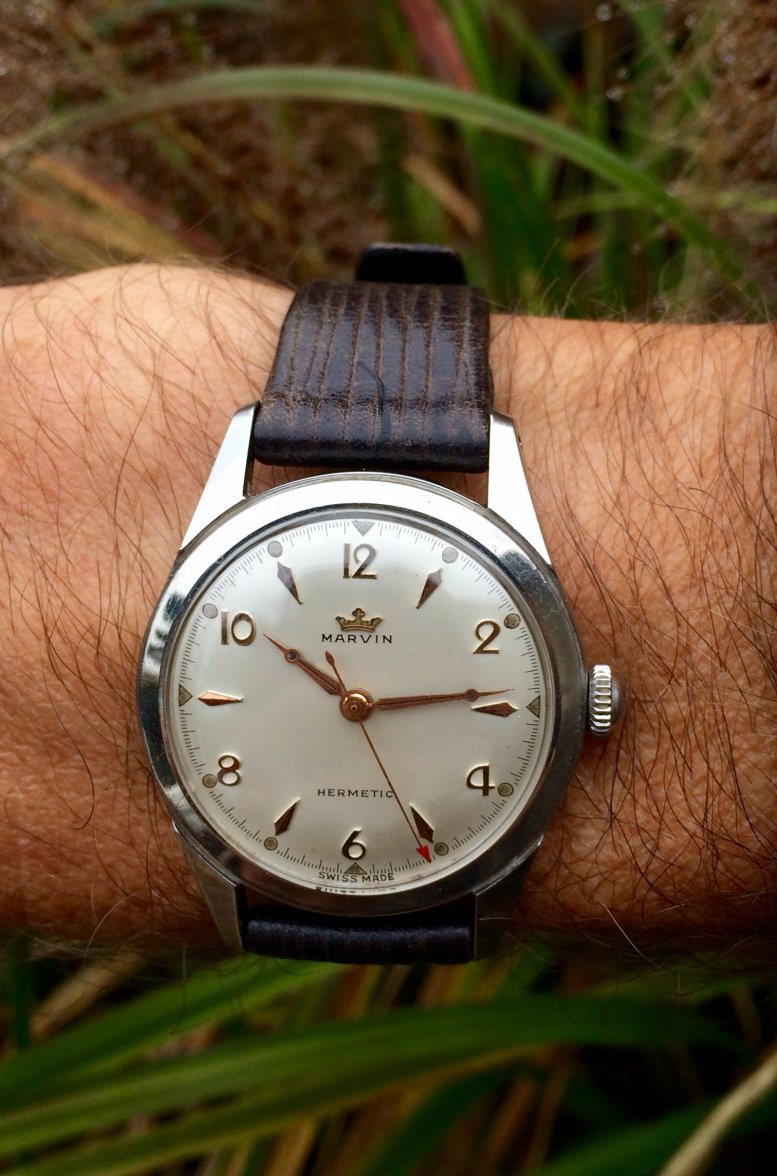 Photo Nov 05, 10 24 53 AM.jpg