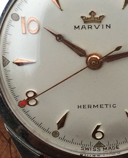 Photo Nov 05, 10 24 07 AM.jpg