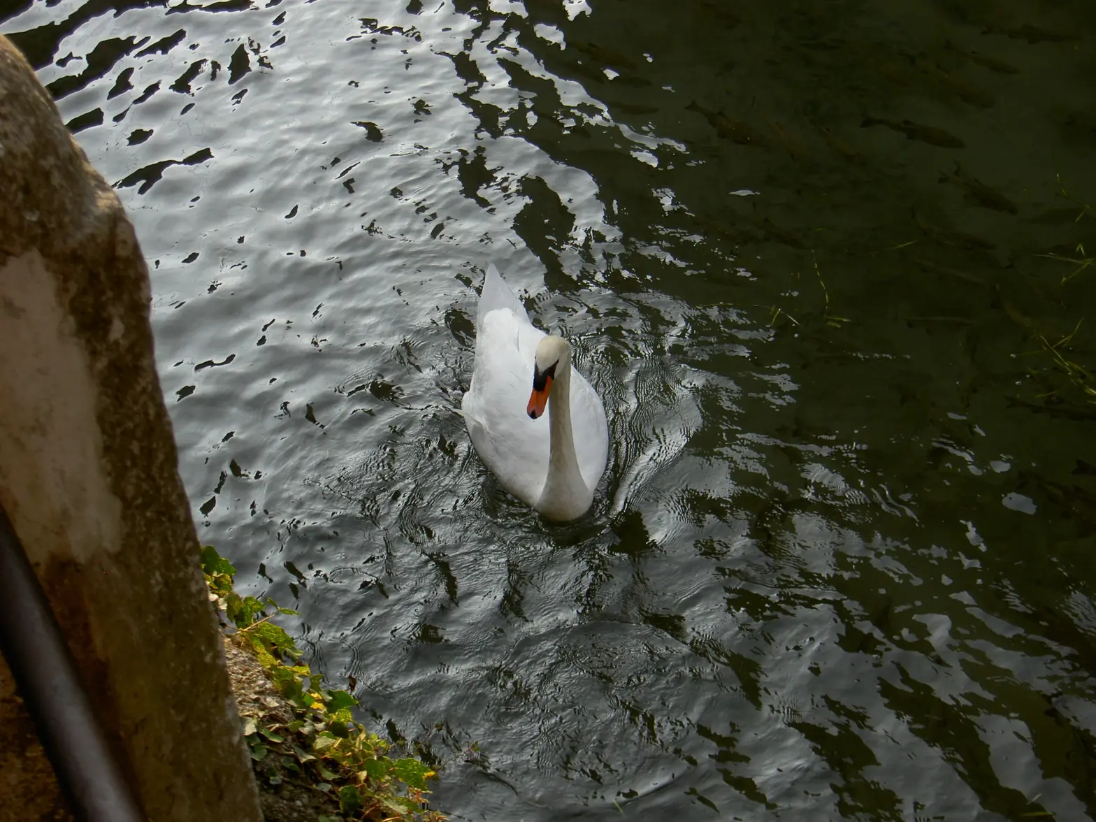 borghetto 3.webp