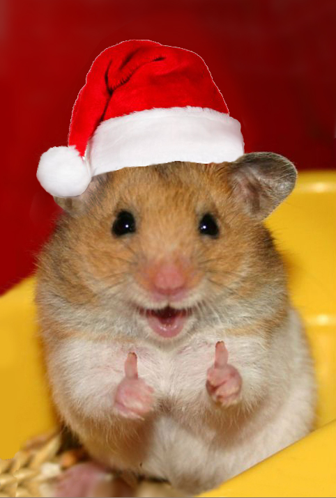 Santa-hamster-thinks-that-is-a-great-idea.jpg