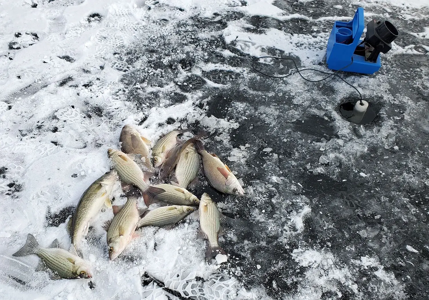 Willard ice fishing 2 20250111_134709.webp