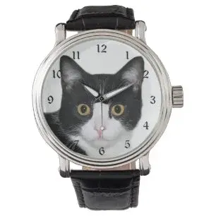 tuxedo_cat_face_watch-r8e3a3437e9214a0a8d2d813cff066e99_zd5ip_306.webp