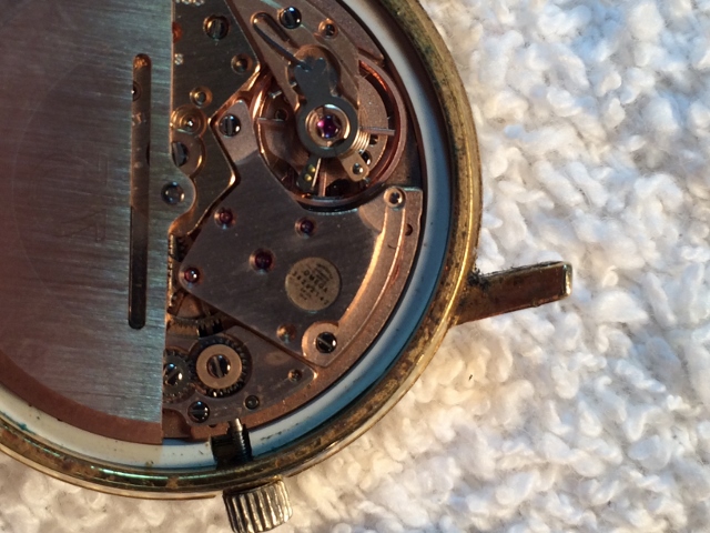 IMG_2371 (640x480).jpg