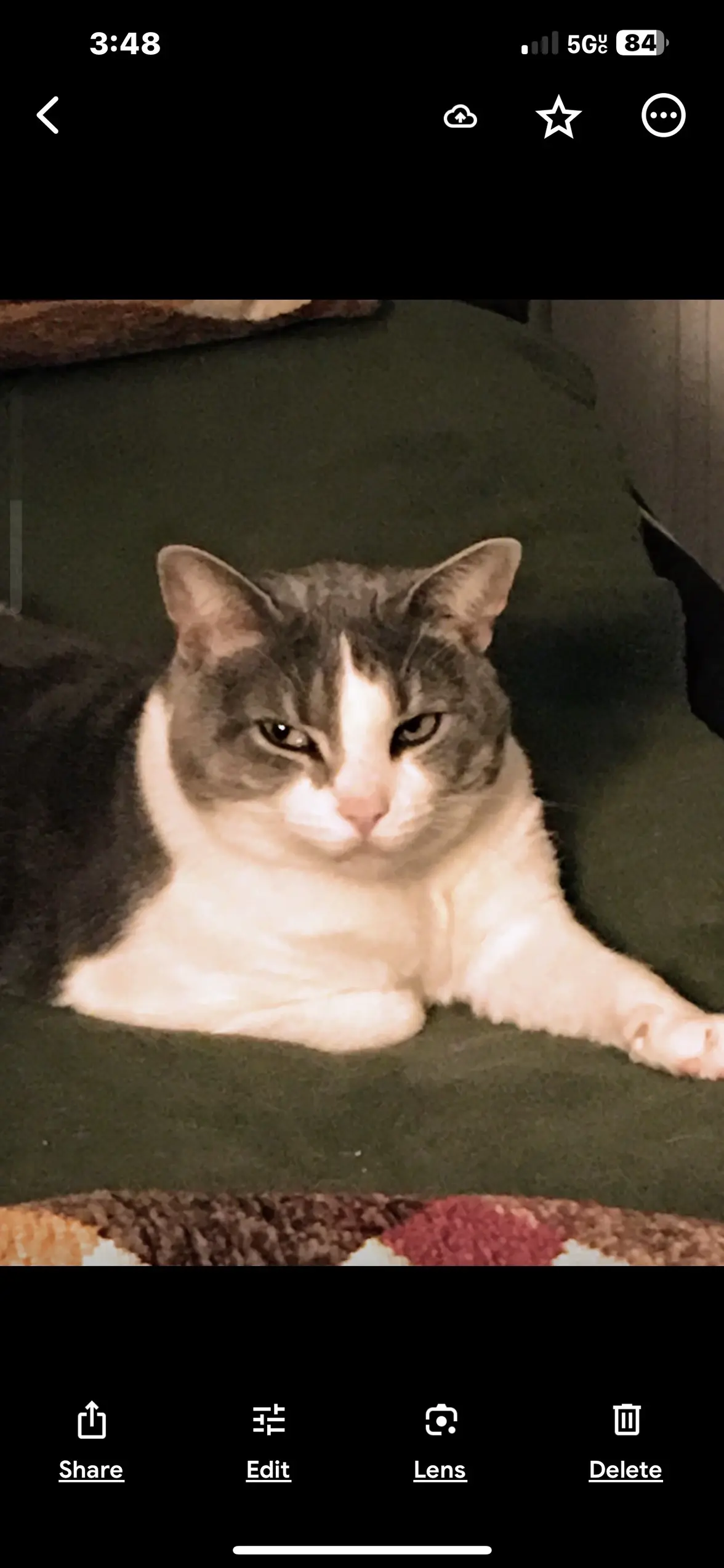 IMG_4329_Original.webp IMG_4329_Original.webp