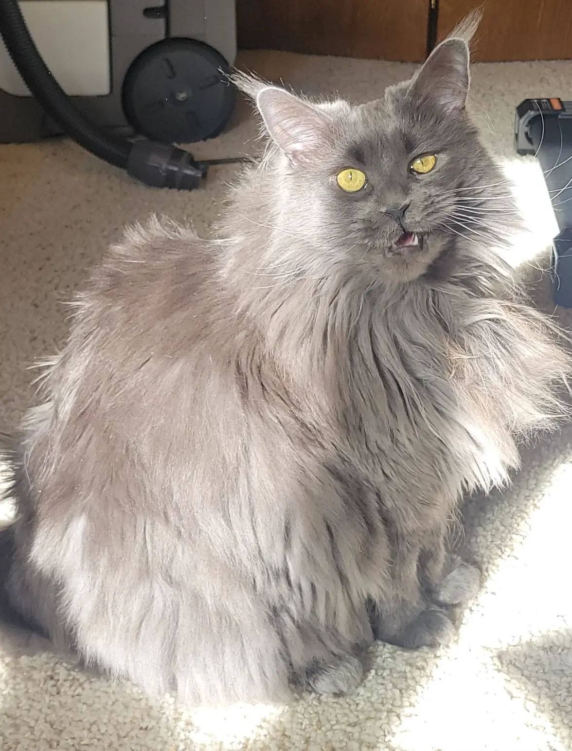 20250207_135154.webp 20250207_135154.webp