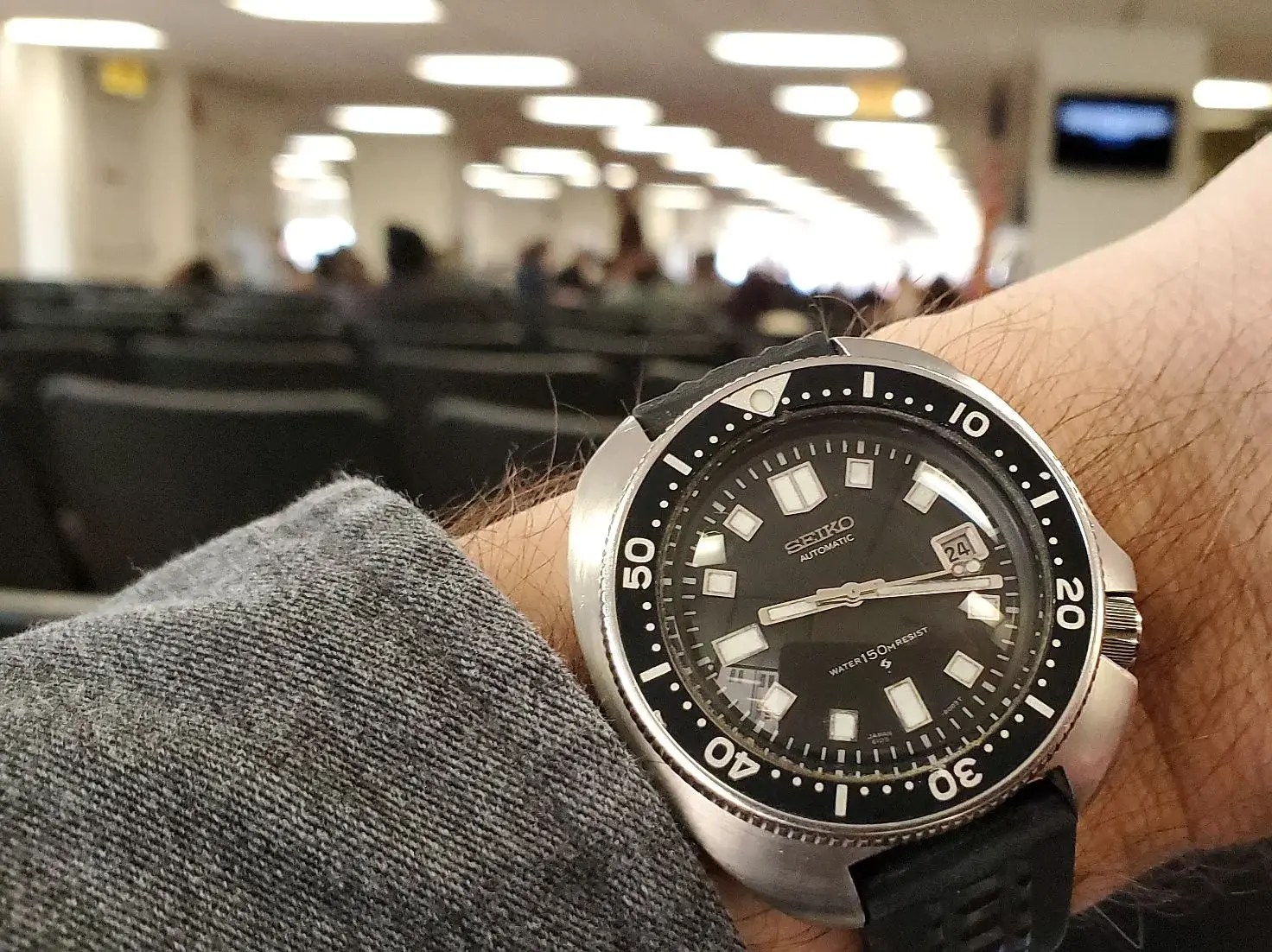 Willard ws 1 20250224_091830.webp