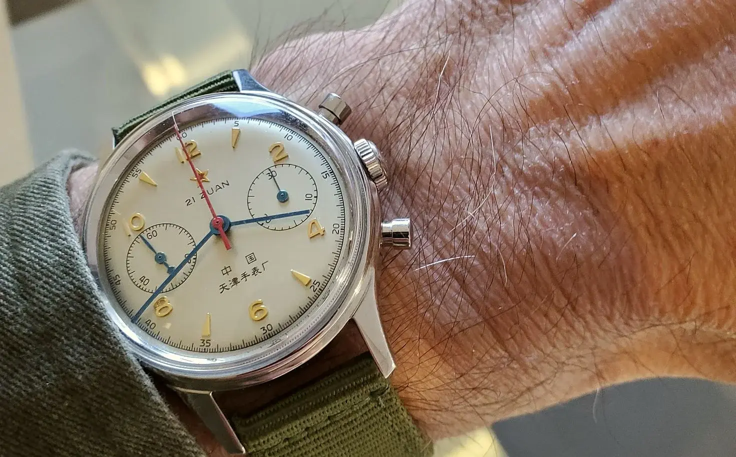 Seagull ws 1 20250306_154111.webp