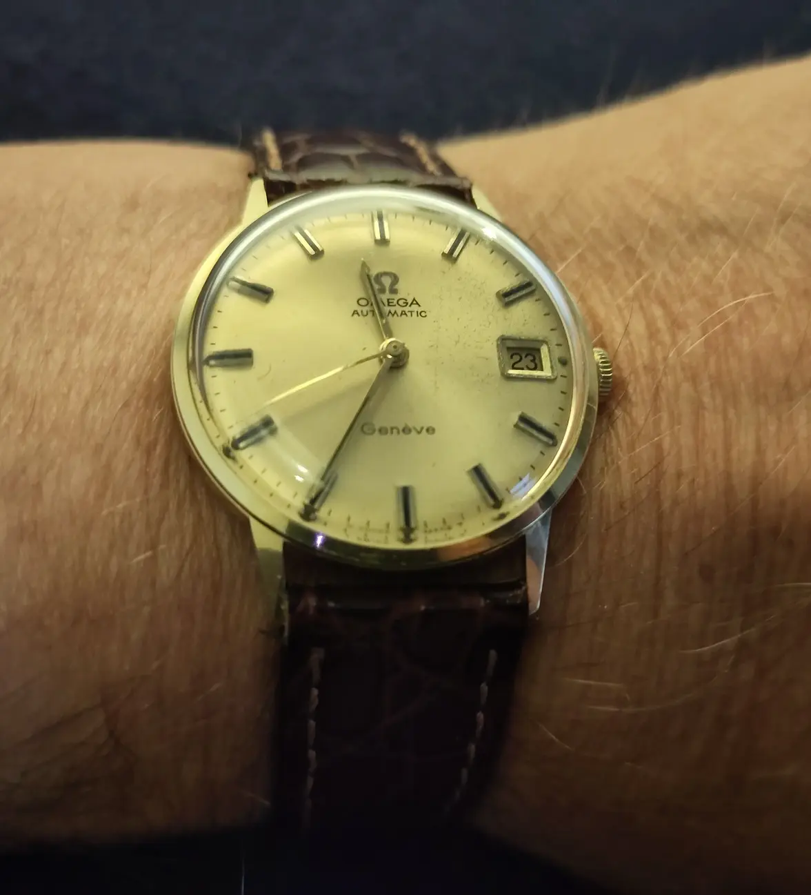 IMG_20240922_113510.webp IMG_20240922_113510.webp