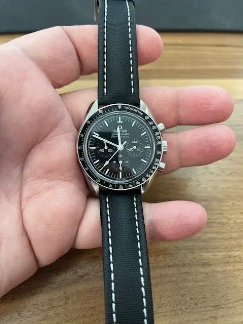 Moonwatch Professional.webp