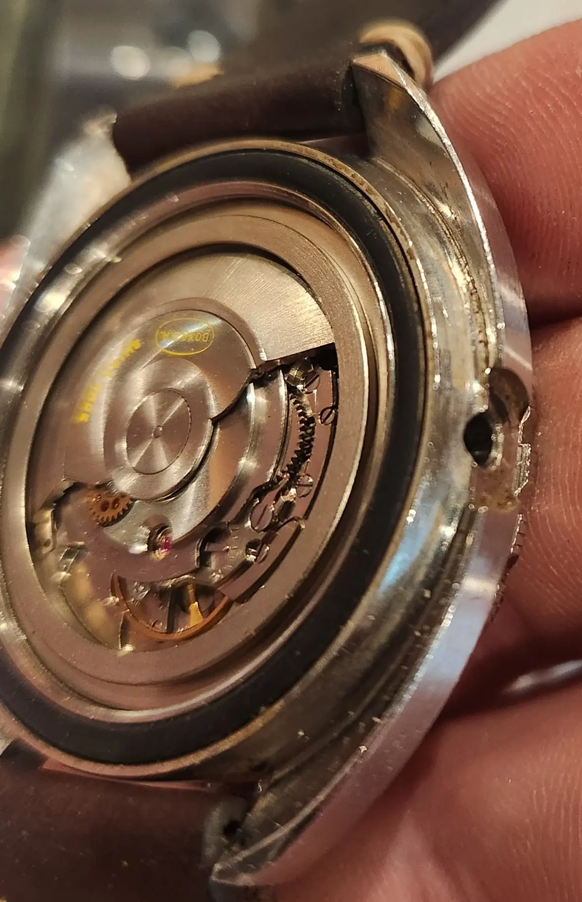 20250418_175808.webp 20250418_175808.webp