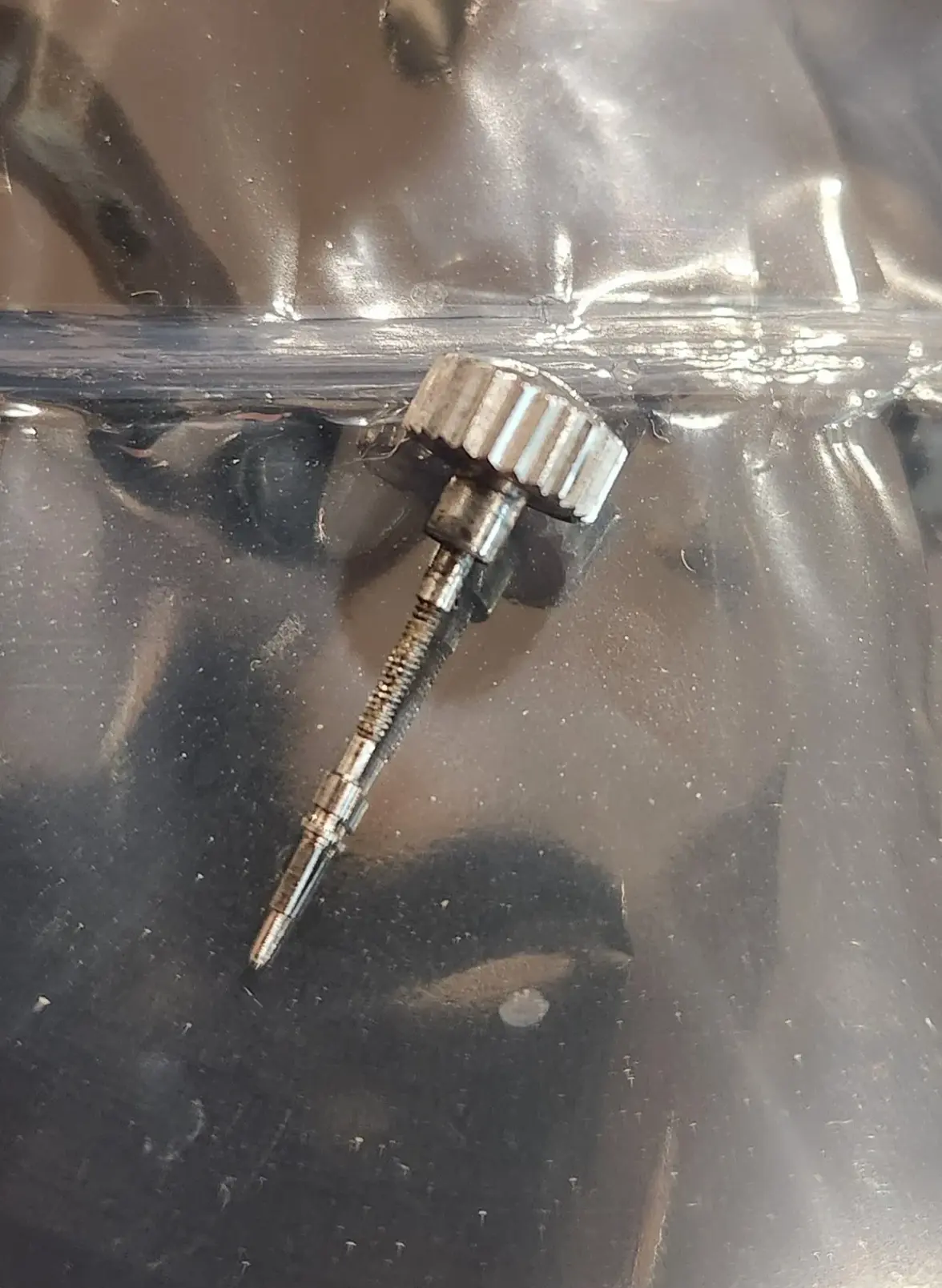 20250418_175834.webp 20250418_175834.webp