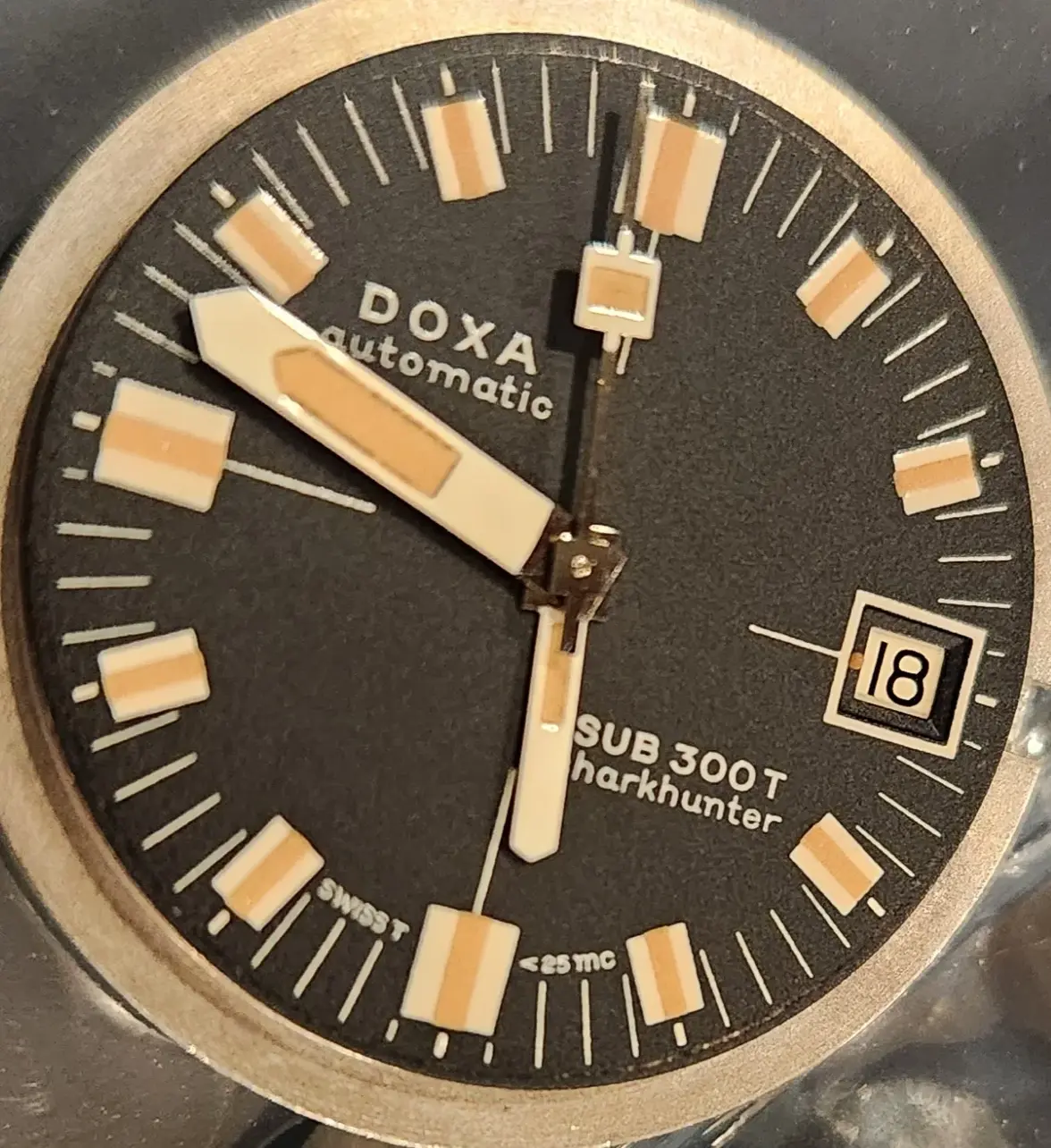 20250418_174526.webp 20250418_174526.webp