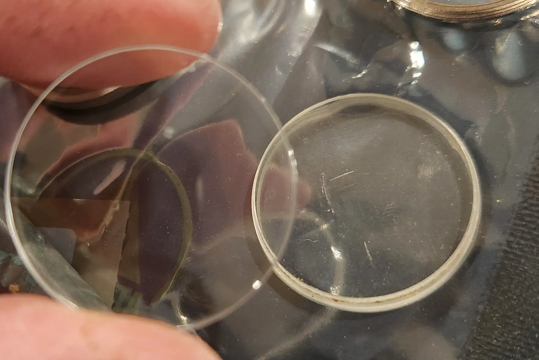 20250418_174936.webp 20250418_174936.webp