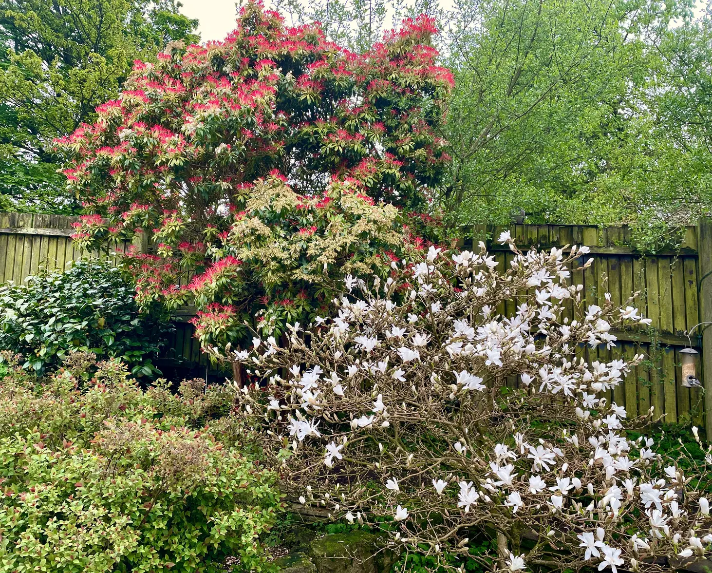 IMG_0005.webp