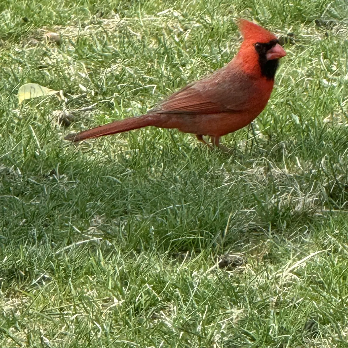IMG_0809.webp