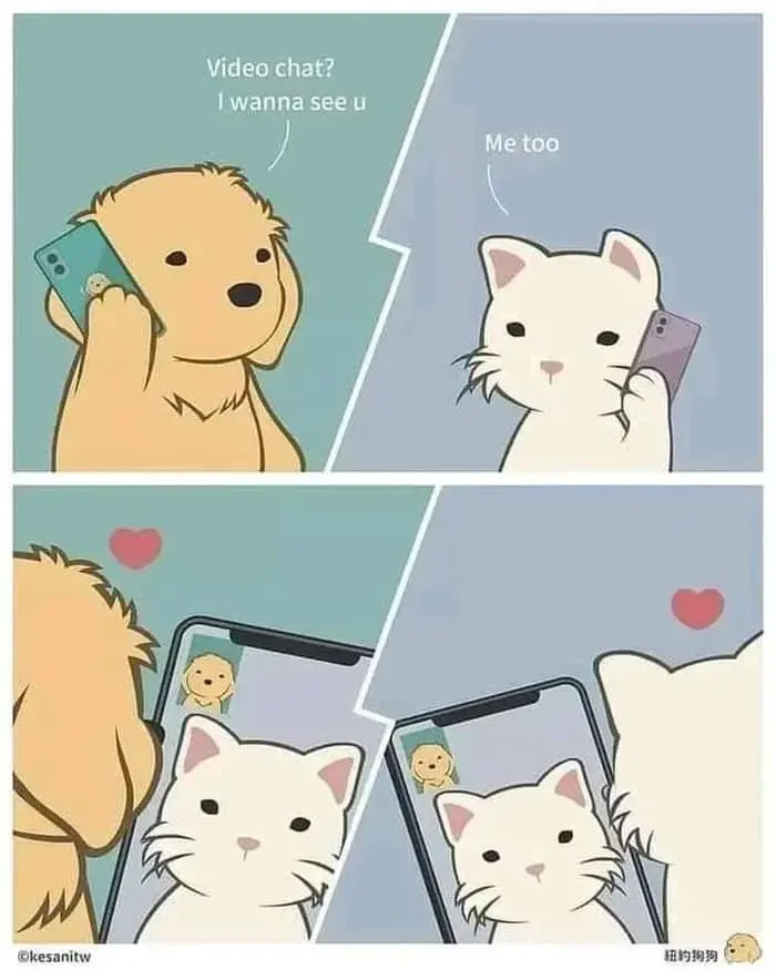 WhatsApp Image 2025-04-21 at 14.22.35_be2696f7.webp