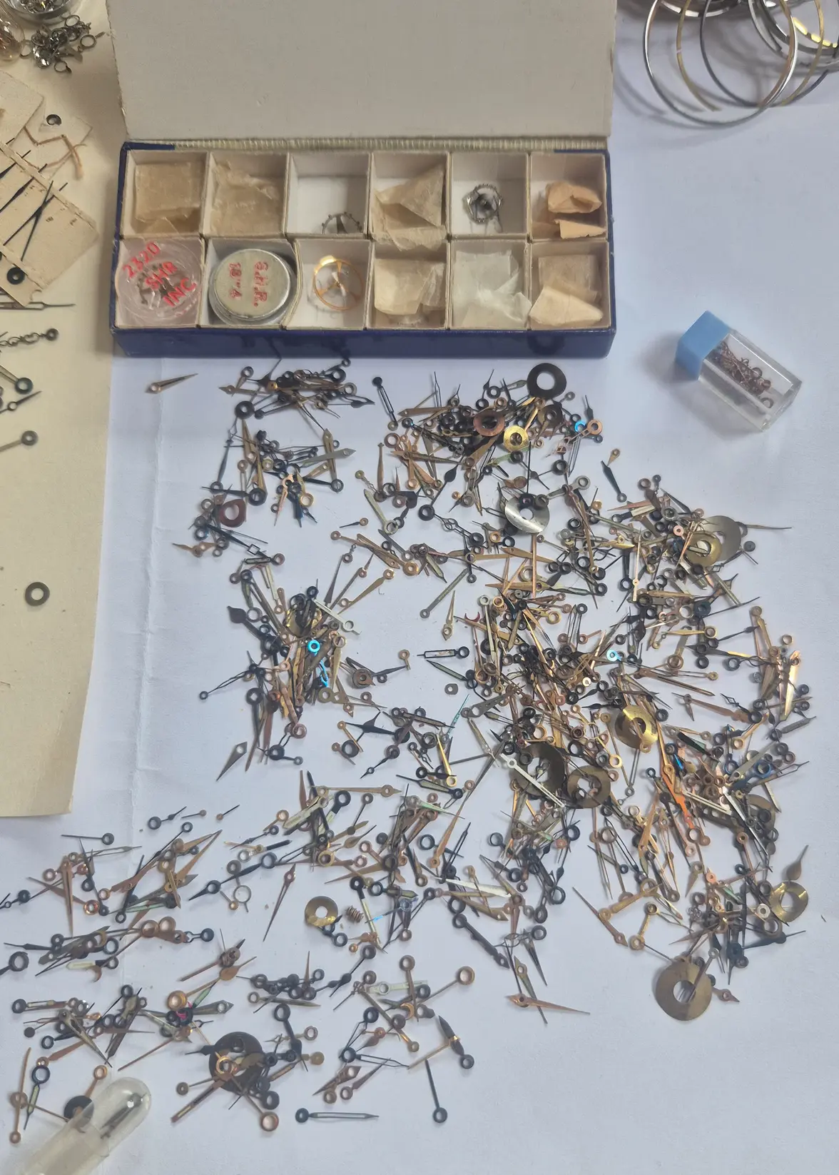 20250421_092801.webp 20250421_092801.webp