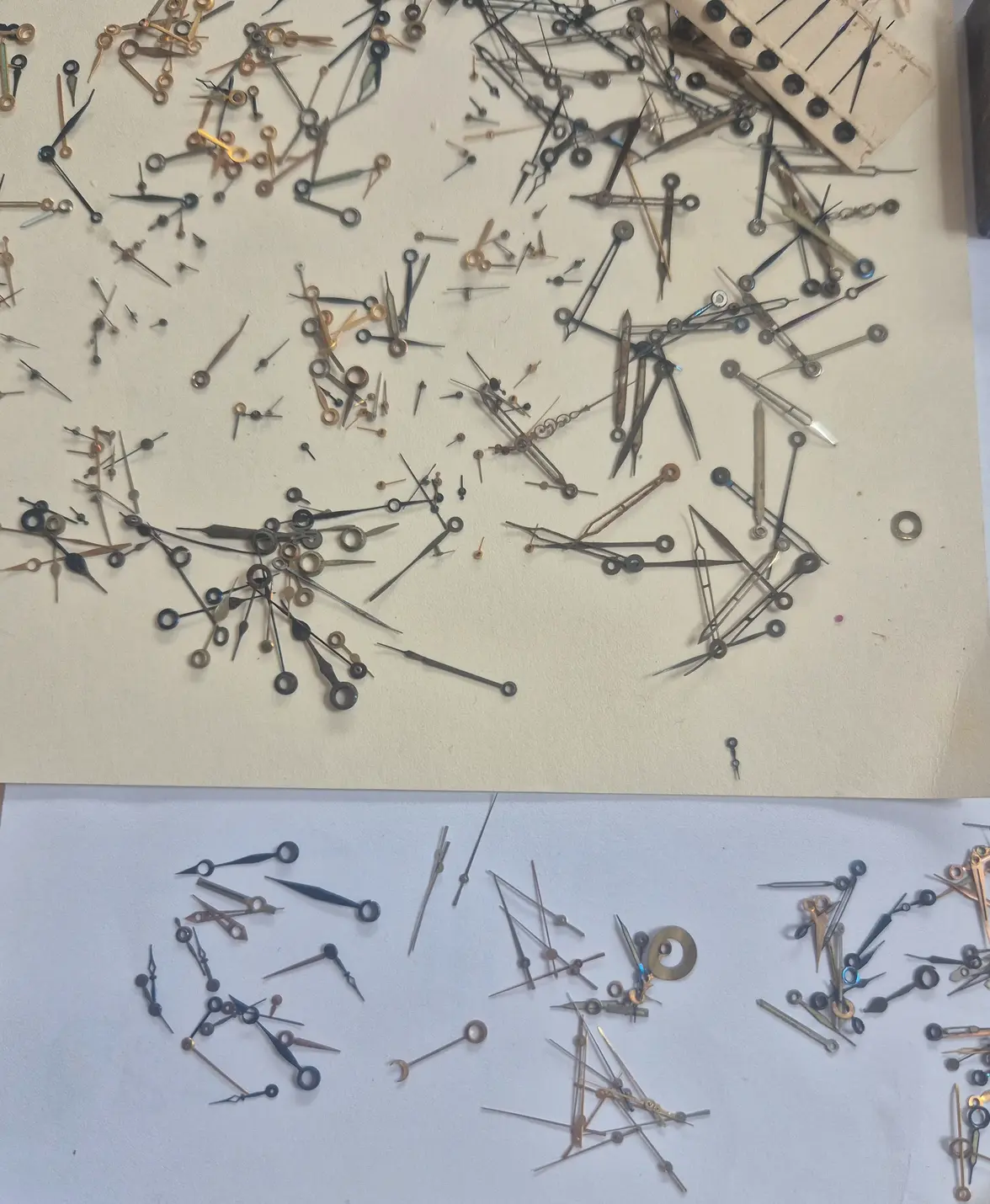 20250421_092804.webp 20250421_092804.webp