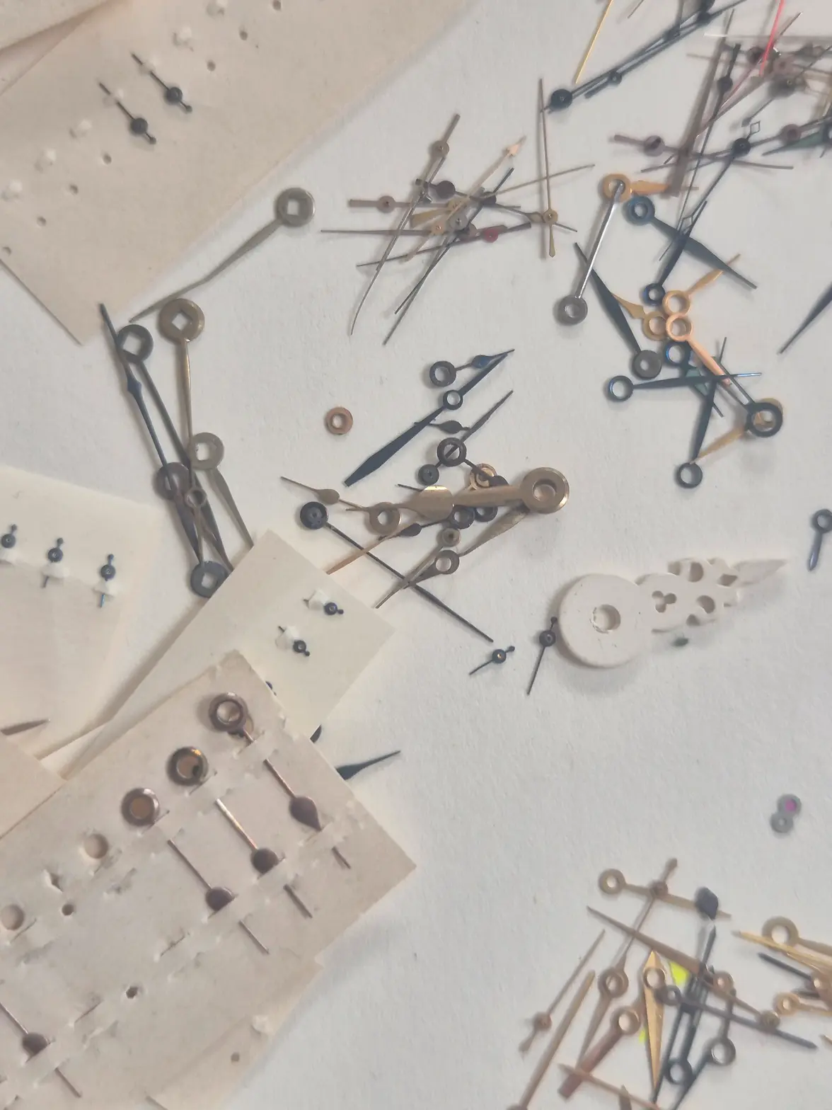 20250421_092832.webp 20250421_092832.webp