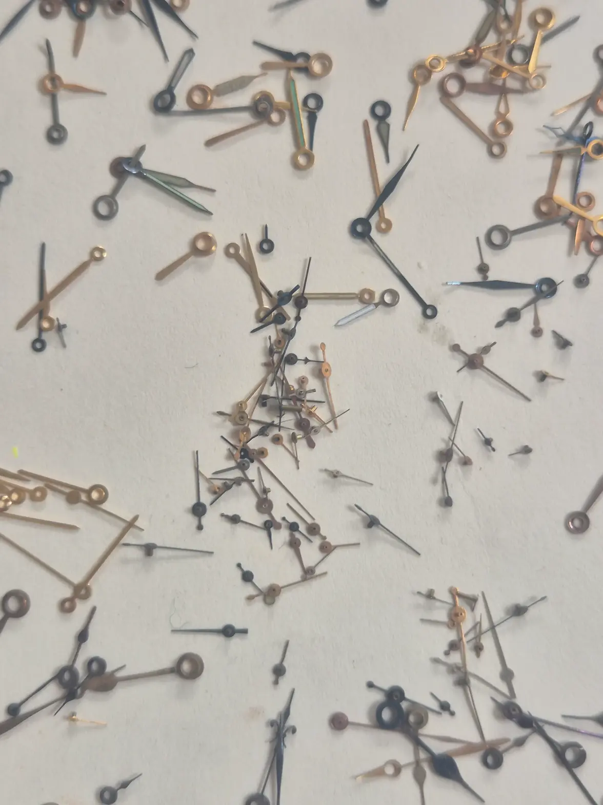 20250421_092835.webp 20250421_092835.webp