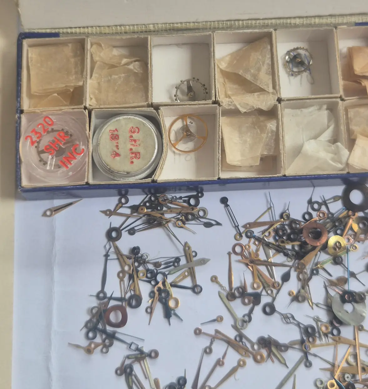 20250421_092852.webp 20250421_092852.webp