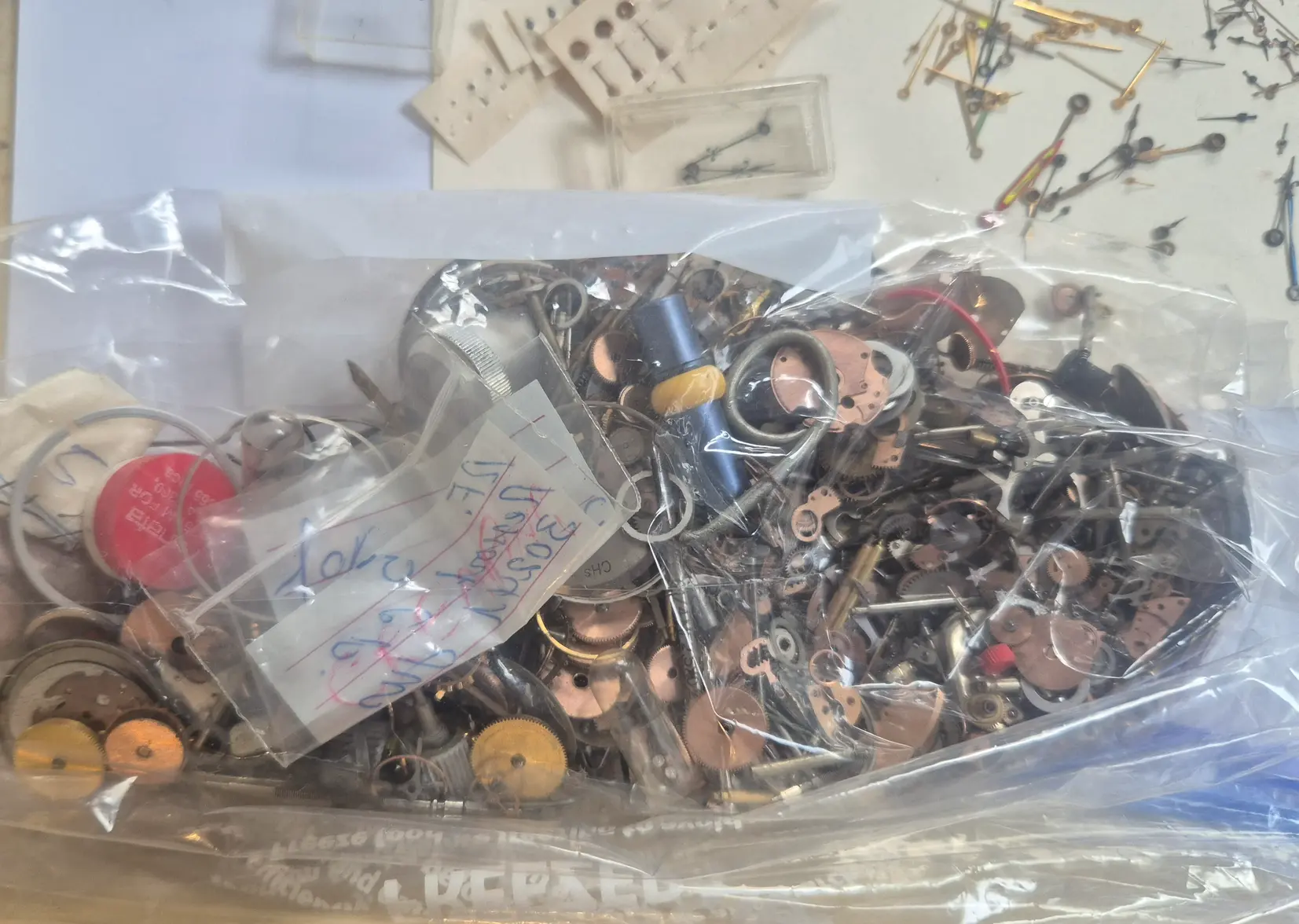 20250421_092807.webp 20250421_092807.webp