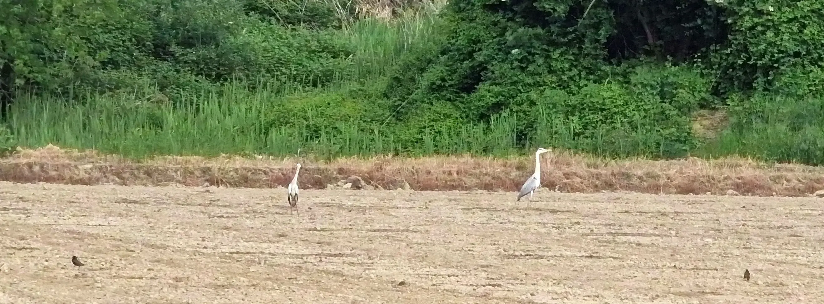 2025_04_22 (11).webp