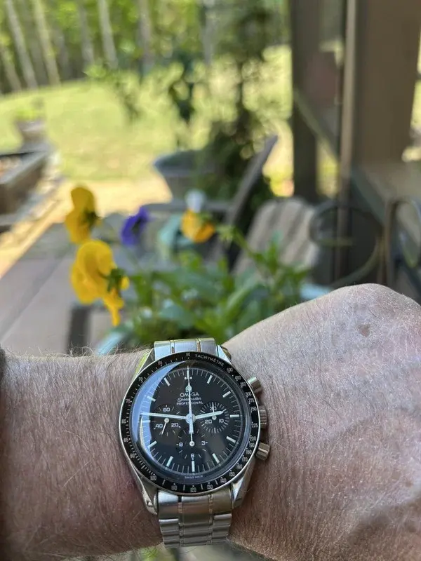 Speedy.webp Speedy.webp