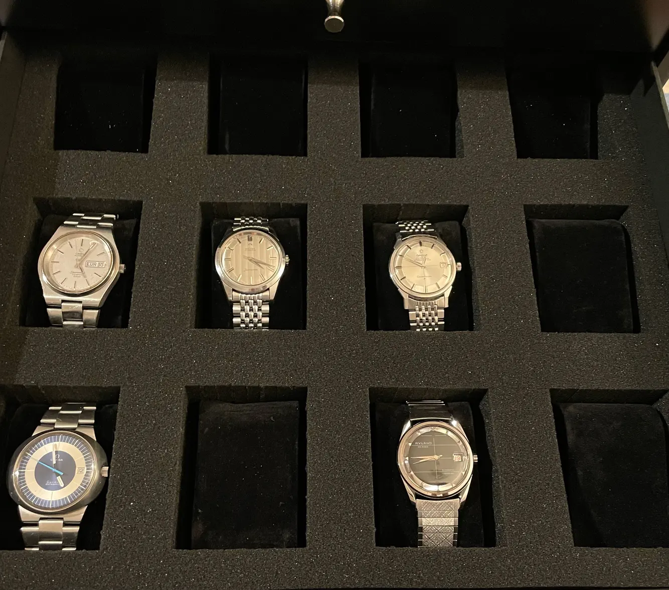 IMG_6853.webp IMG_6853.webp