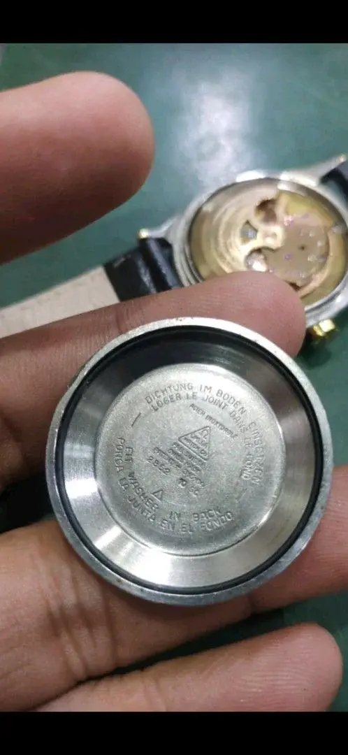 4612a975-78fb-4abb-b935-dc1ff3abd973_progressive (2).webp